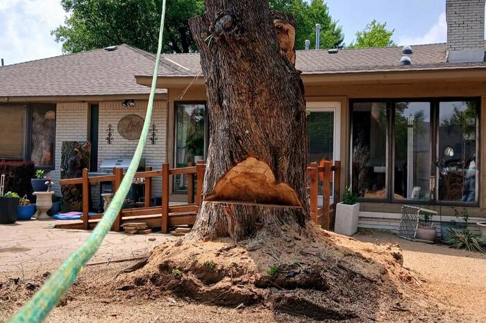 Large tree removal in Oklahoma City backyard by TreeServicesOK